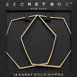 Secret Box New York 14 Karat Gold Dipped Hexagon Hoop Earrings (C)